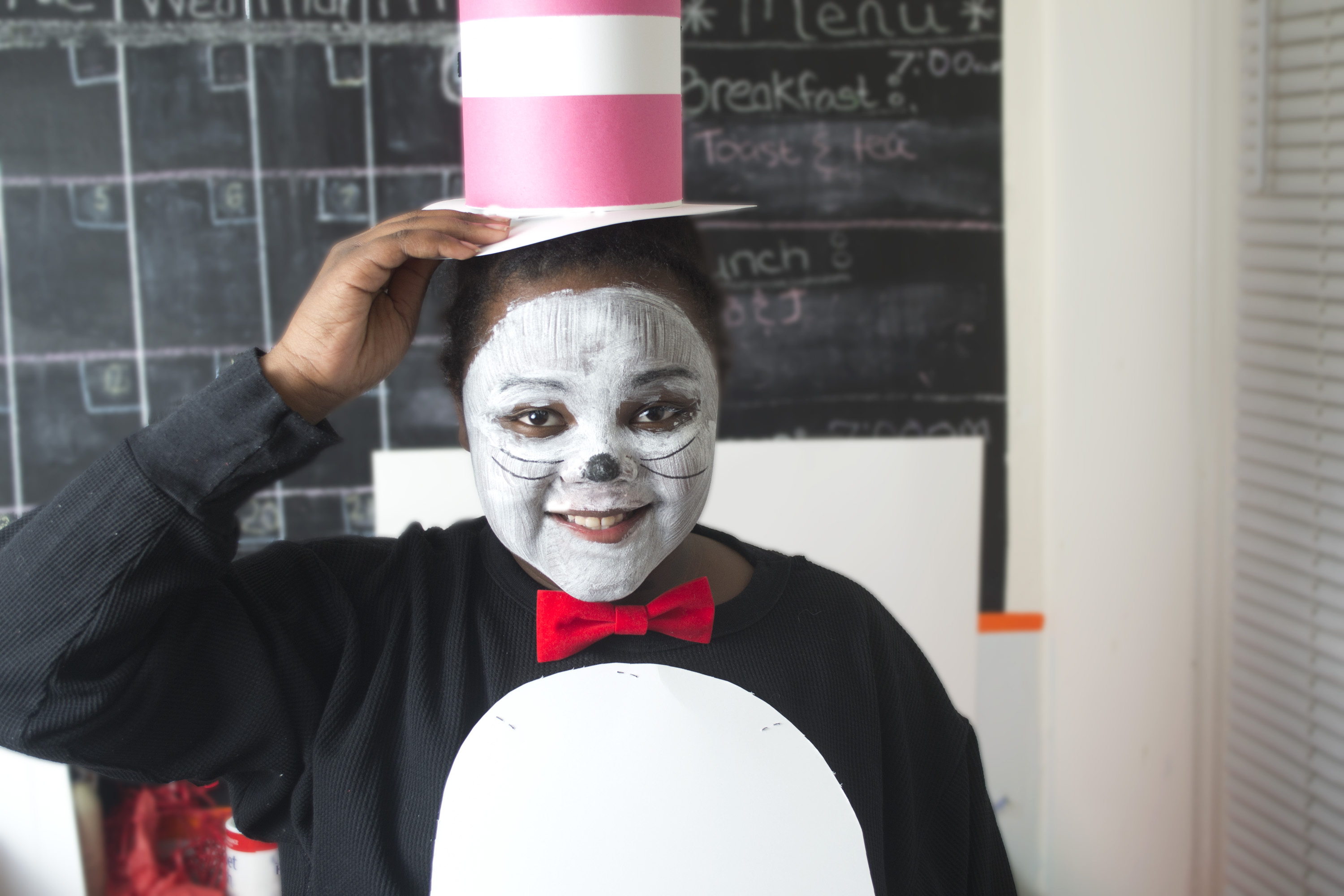 Chapeau Chat Dans Le Chapeau – Accessoire Déguisement Neuf Avec étiquettes