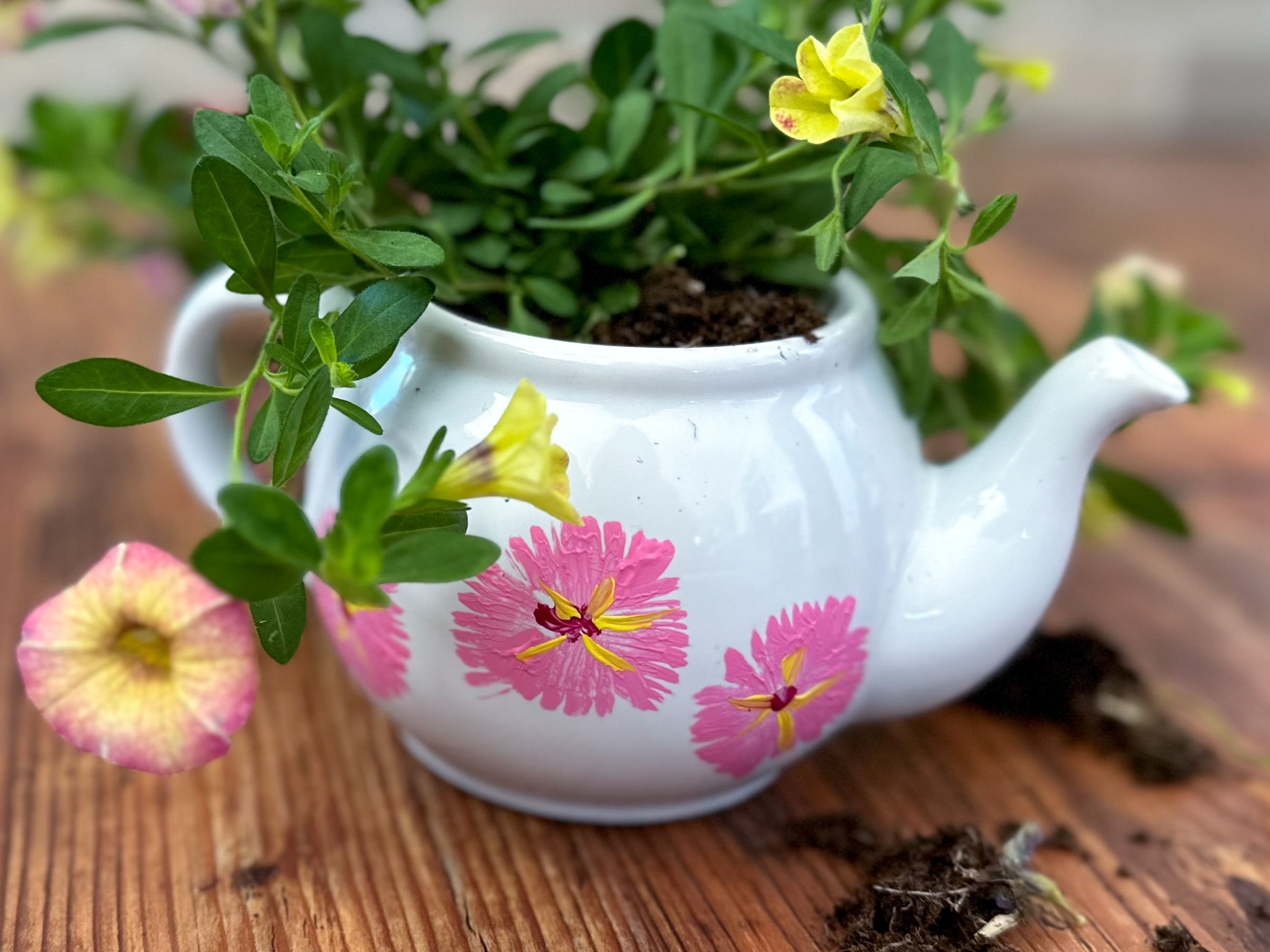 How to Make a Teapot Planter For Your Garden | ehow