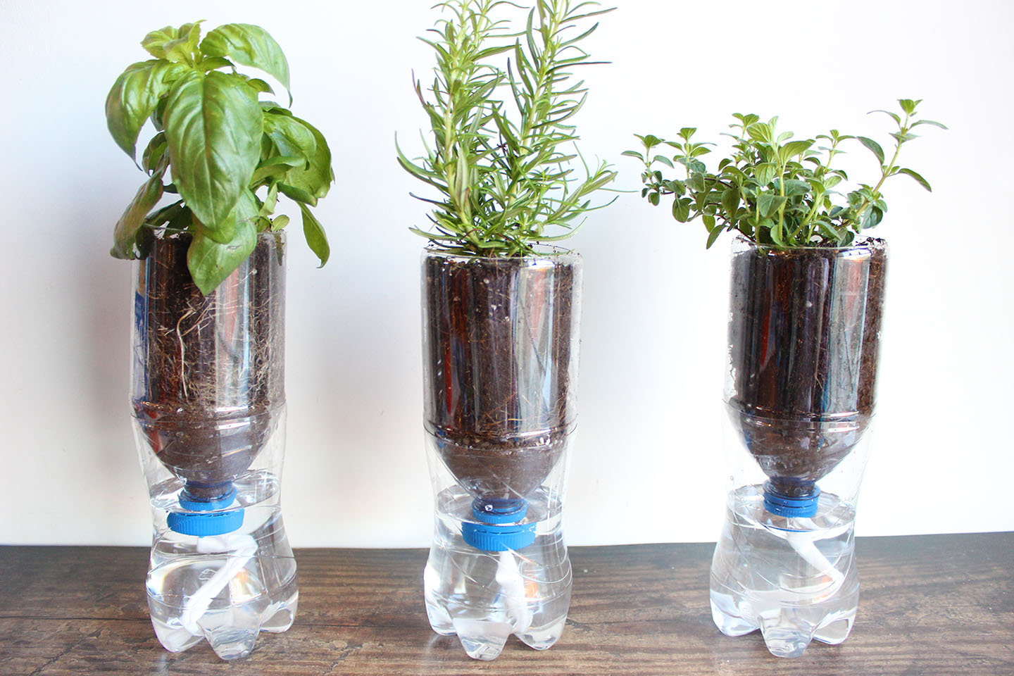 How to Make a Planter Self Watering: Easy DIY Guide for Lush Plants