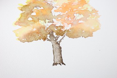 Lifted paint from the tree trunk