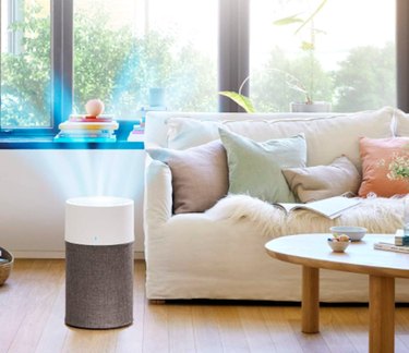 Blueair Blue Pure 311 Automatic Medium Room Air Purifier in sunny living room.