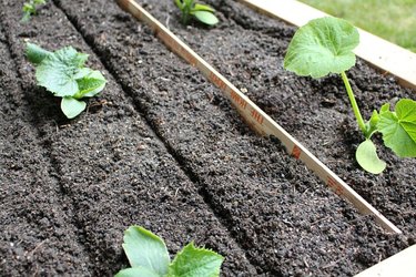 Maximize your garden space