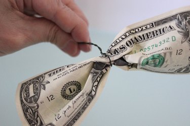 floral wire around dollar bill
