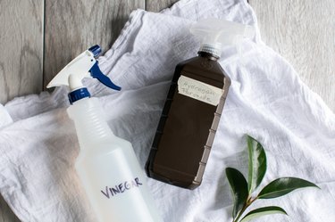 Homemade Natural Disinfectant Cleaner That's Better Than Bleach