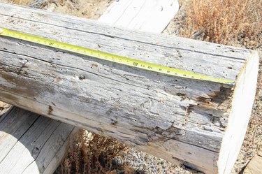 How to Make a Log Planter