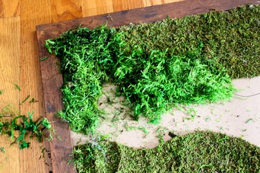 second layer of moss