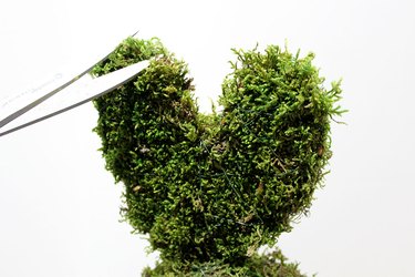 trim