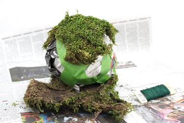 sheet moss
