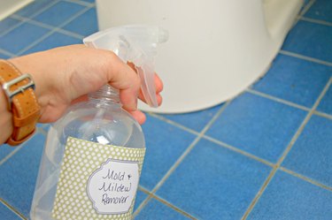 how to kill mold with vodka