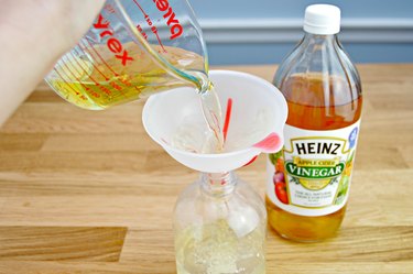 how to make a homemade flea and tick repellent