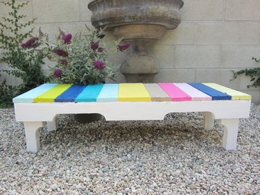 A colorful pop in the garden