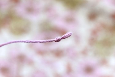 tie a knot