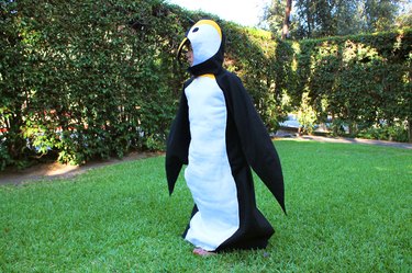 Even beginning sewers can make this costume.