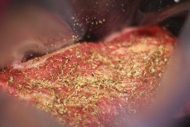 Tri-tip in a plastic bag with seasoning