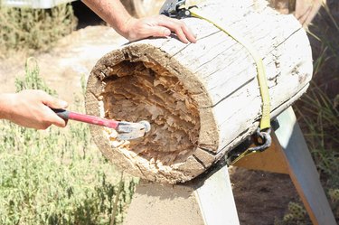 How to Make a Log Planter