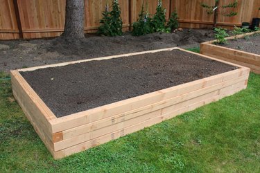 Raised garden bed with garden soil