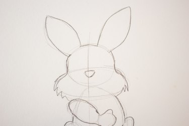 Draw in initial facial features