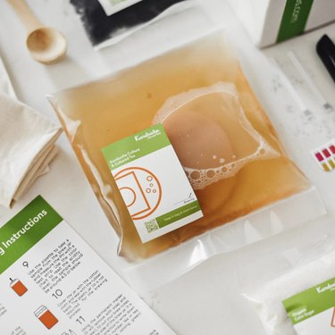 Basic Kombucha Starter Kit shown from above with instructions, SCOBY, pH strips, and other supplies.