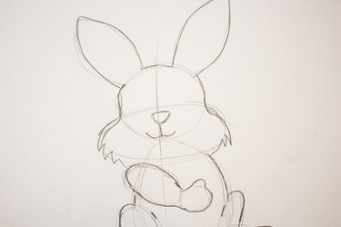 Draw in initial facial features