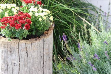 Completed log planter