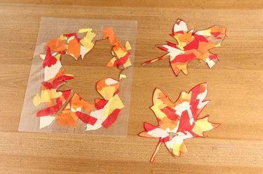 Cut leaves on display