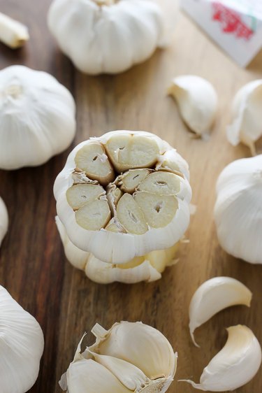 head of garlic