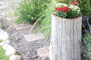 Log planter