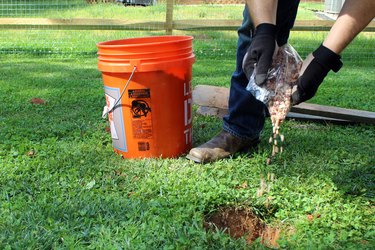 add a small amount of gravel to each hole for drainage