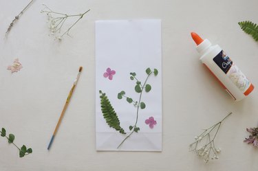 Trisha Sprouse plant pressing kit