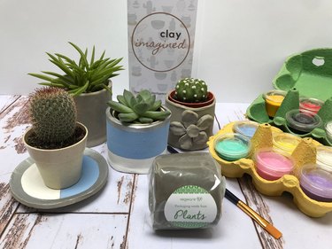 Eco-friendly Clay Kit With Succulent or Cactus