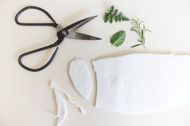 Cut Out Leaves
