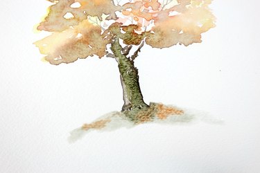 Fallen leaves under the tree