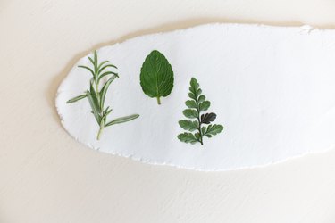 Leaves on Clay