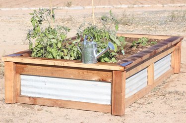 Raised Garden Bed