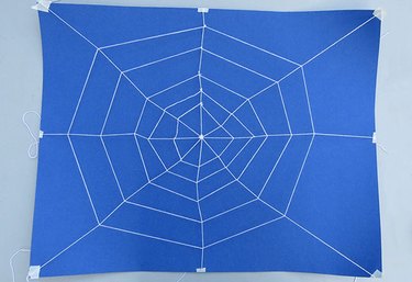 Small spider web on poster board