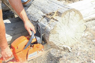 How to Make a Log Planter