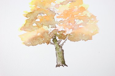 Adding dimension to the tree trunk