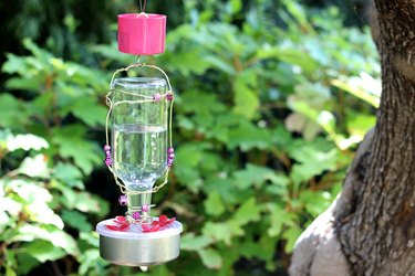 hummingbird feeder