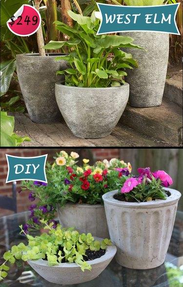 Concrete Planters