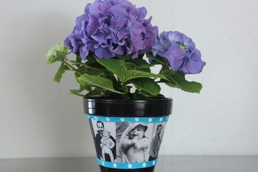 photo memory pot