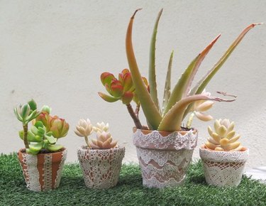 1 lace-adorned plant pots
