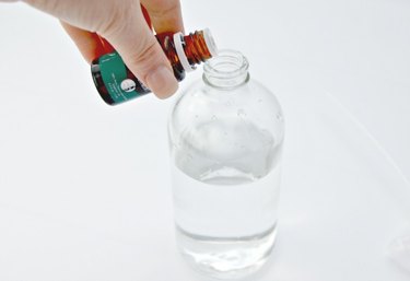 Peppermint is a great natural bug deterrent