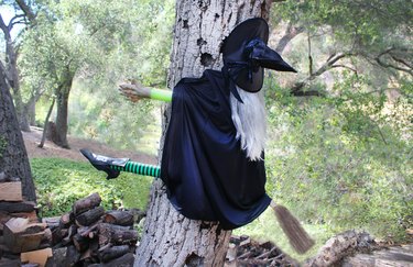 Halloween witch on a broom that has crashed into a tree