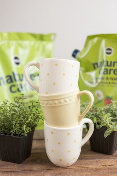 Supplies needed for a mug herb garden.
