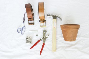 Plant holder supplies