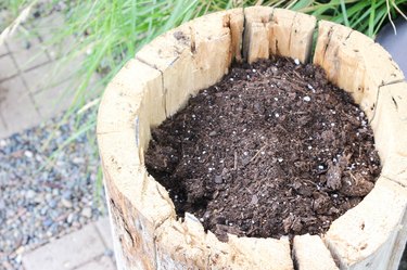 How to Make a Log Planter