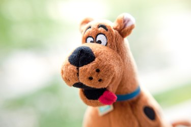 How to Put Together a Shaggy Costume for Halloween