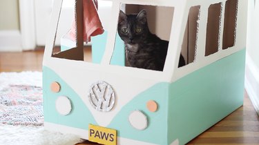 Yellow "PAWS" license plate glued to front