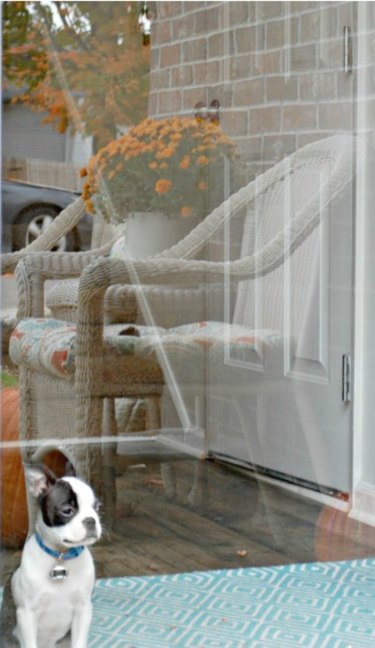 Clean windows