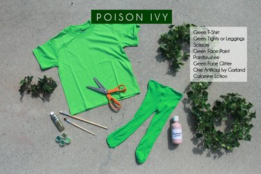 Poison Ivy Costume Requirements